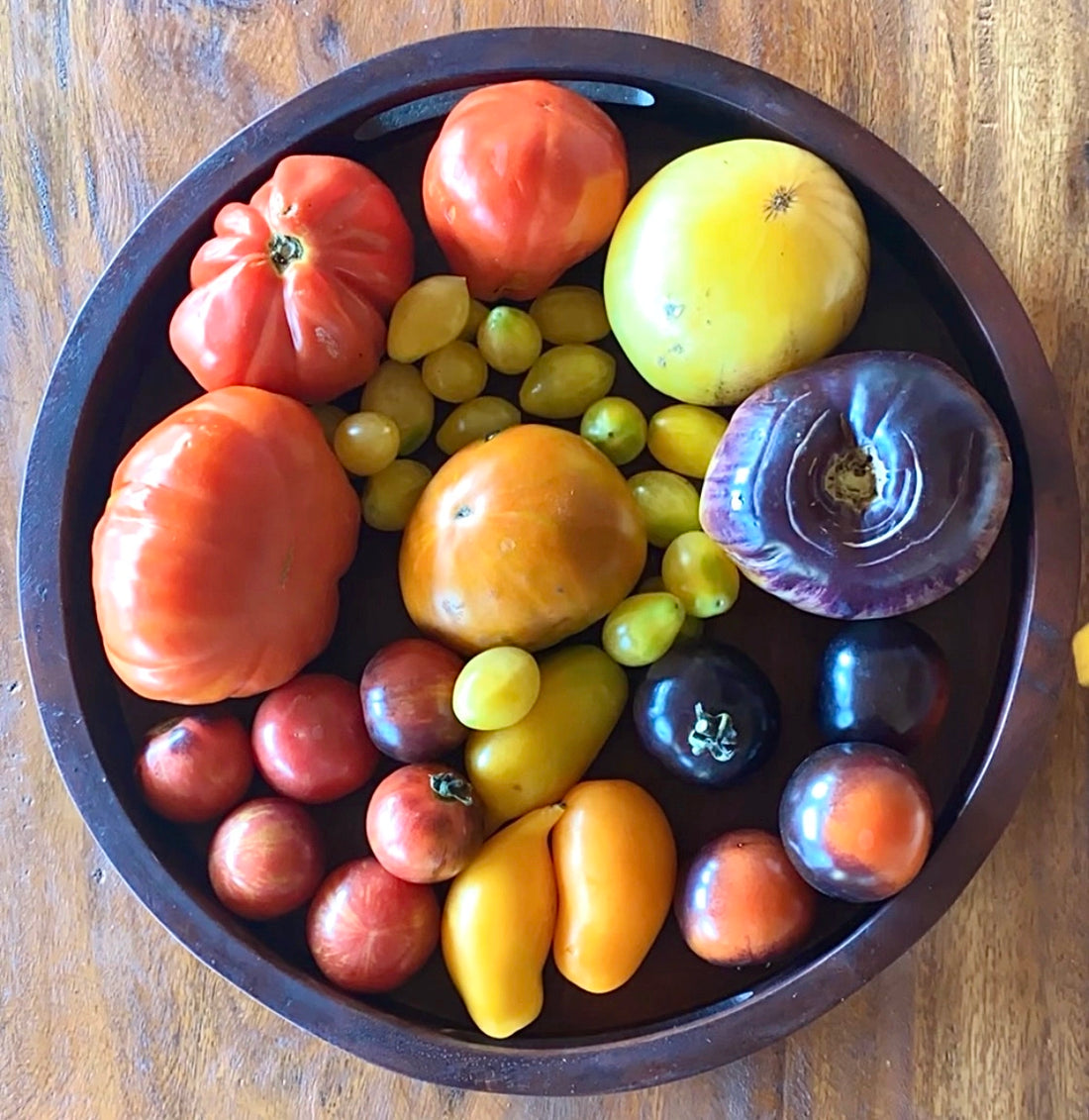 Tomatoes Growing Guide