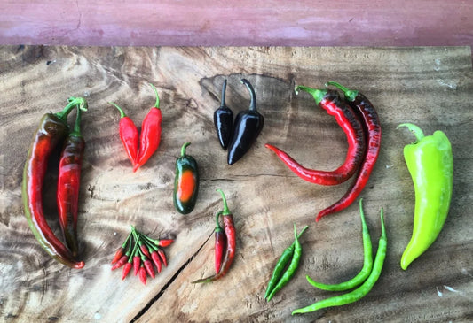 Pepper/Chillis Growing Guide