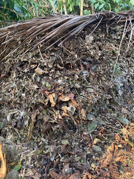 Biodynamic Compost Making