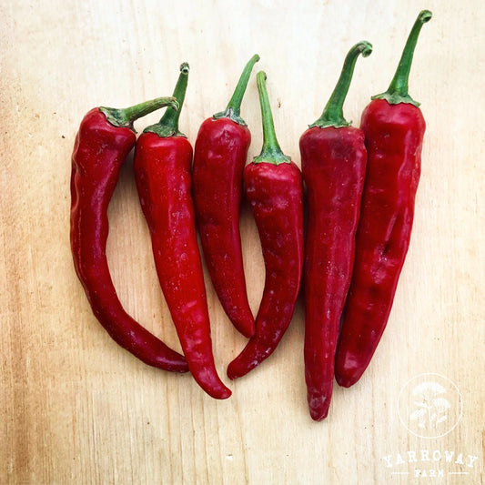 Andhra Mirchi - Mild Hot