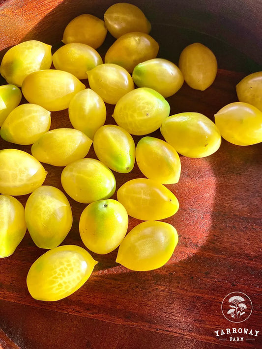 Barry's Crazy Cherry Tomato