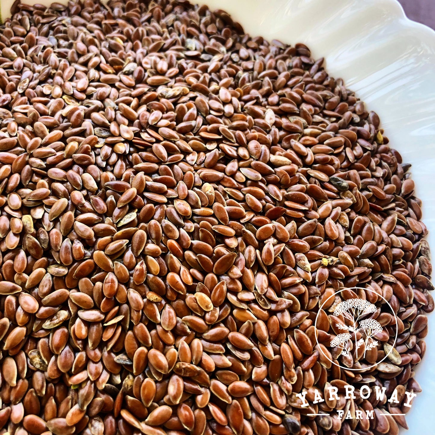Brown Flax Seeds Organic