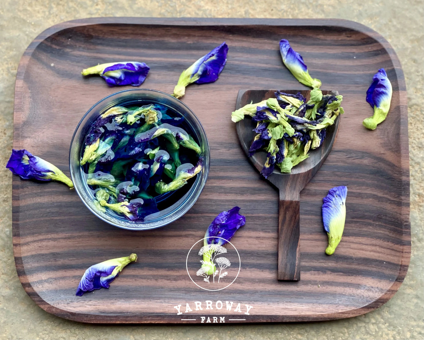 Blue Butterfly Pea Tea Organic