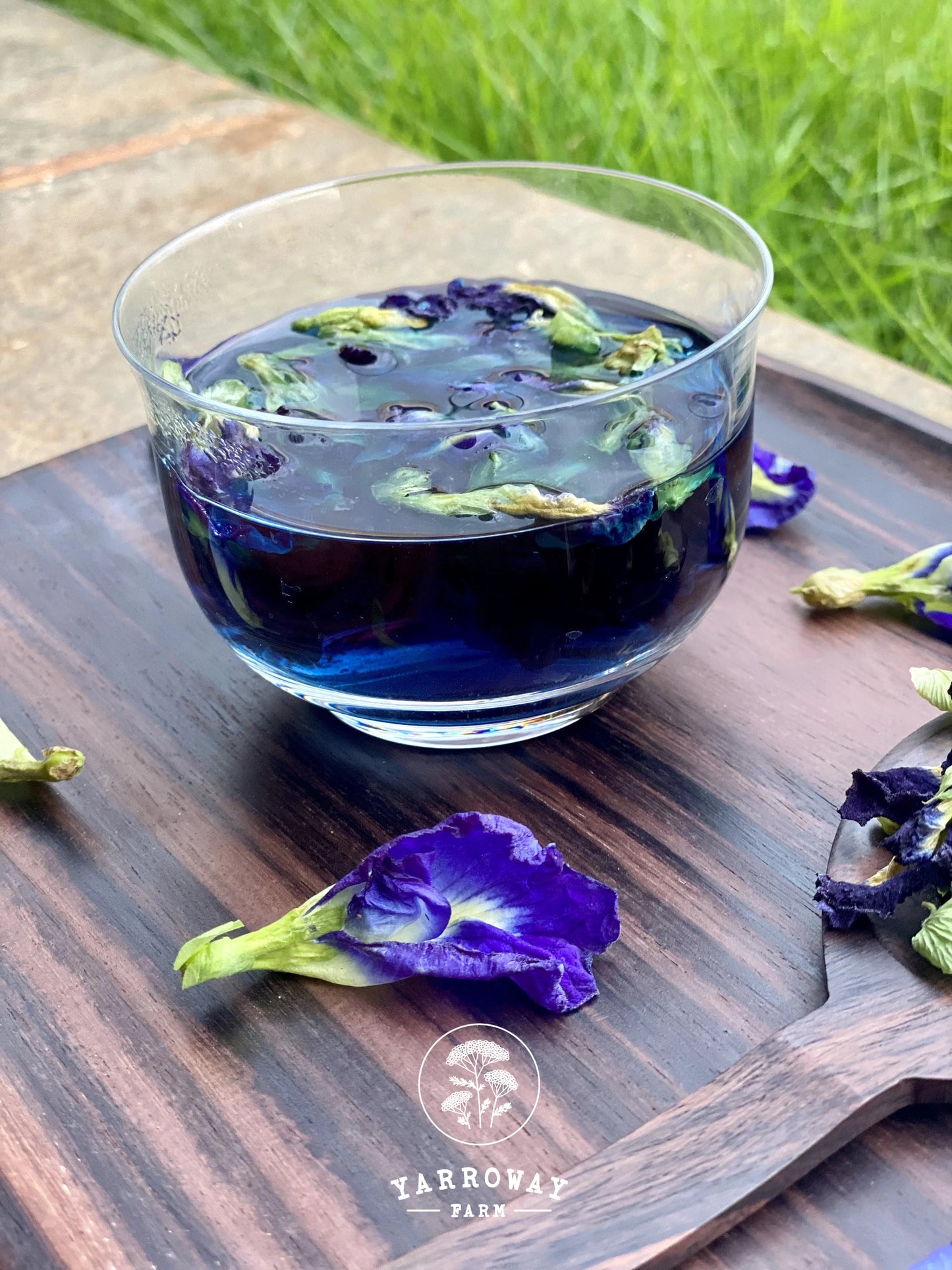 Blue Butterfly Pea Tea Organic