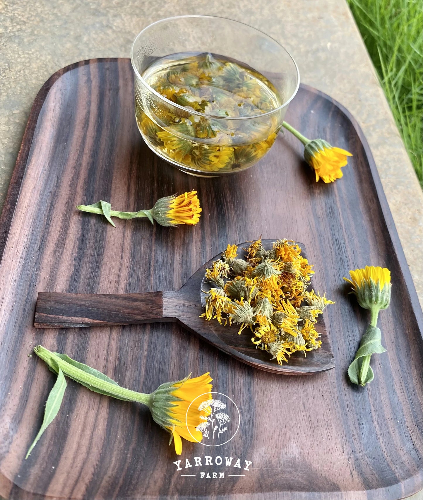 Calendula Tea Organic