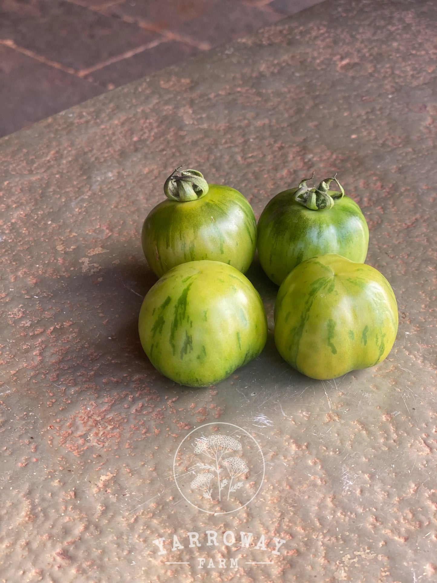 Green Vernissage Tomato