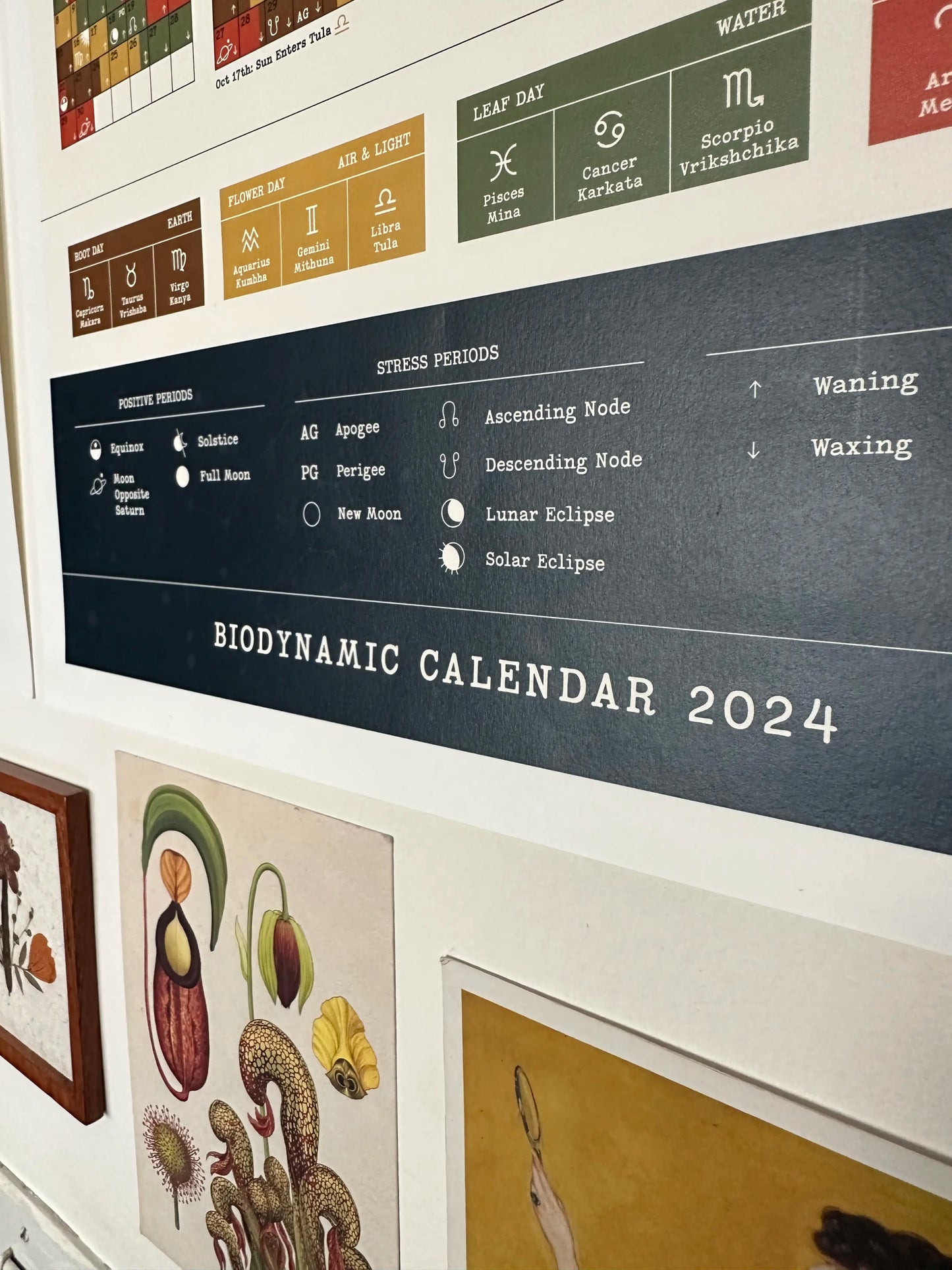 Biodynamic Calendar 2025 - Simplified