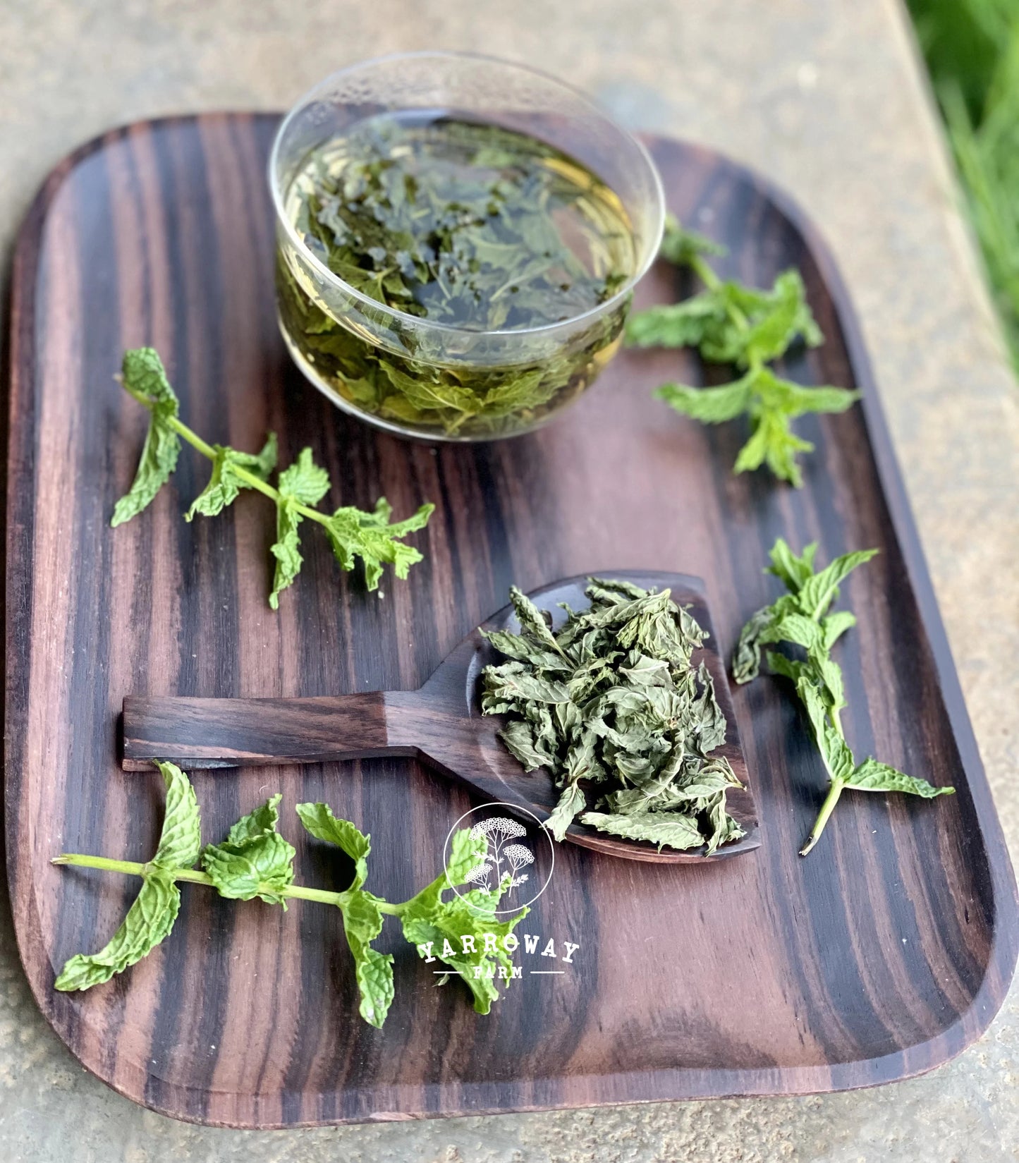 Peppermint Tea Organic