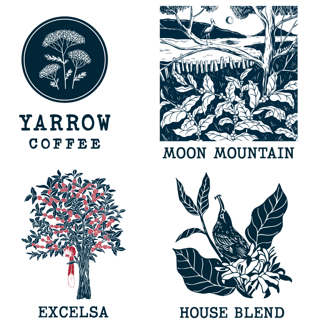 Coffee Sample Pack