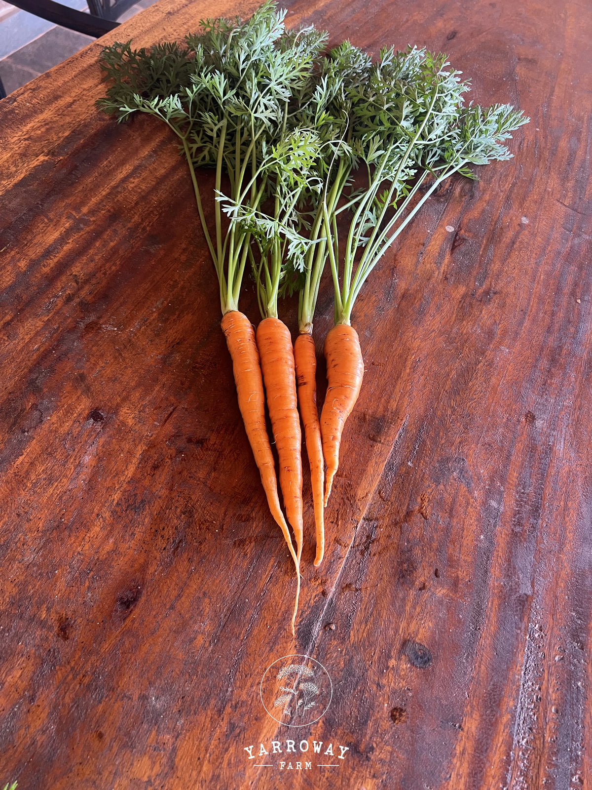 St Valery Carrot