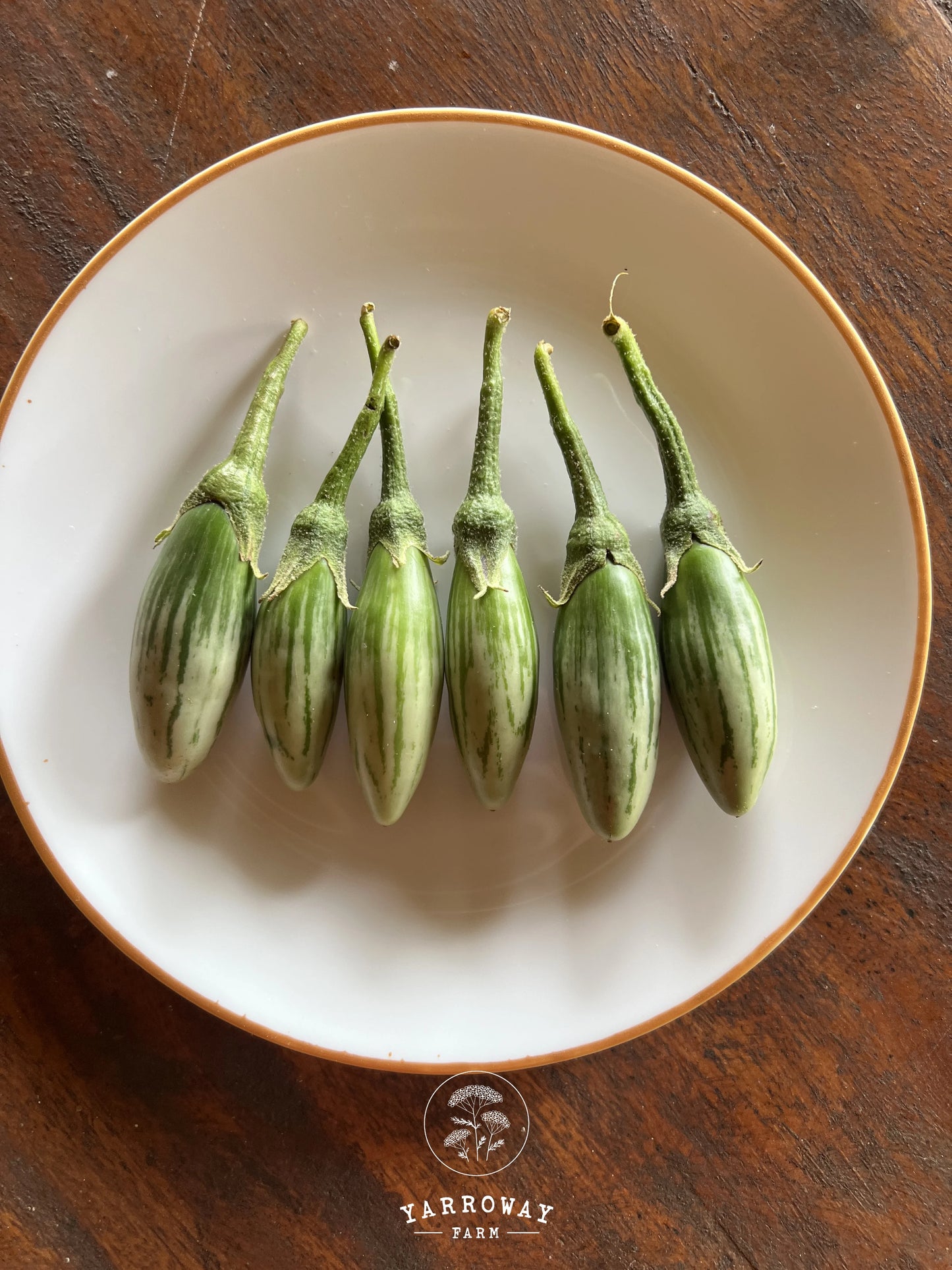 Thai Green Frog Fingers Eggplant