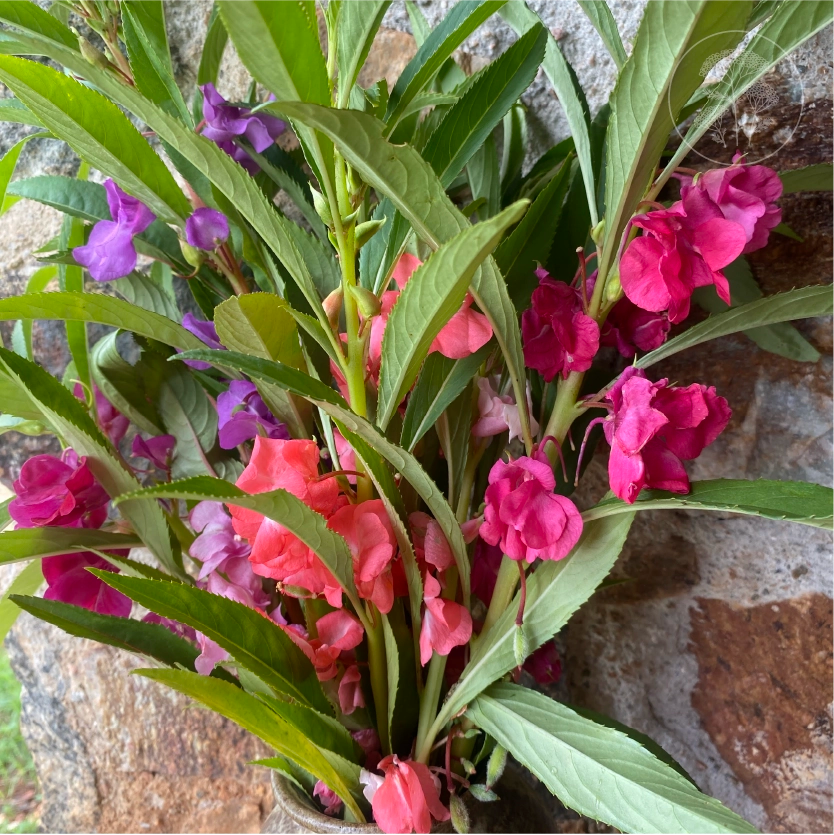Color Mix Balsam