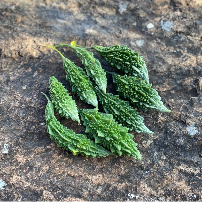 Karela Bitter Gourd