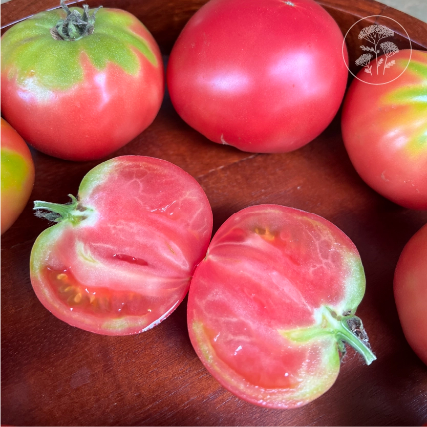 Rosa Di Sorrento Tomato