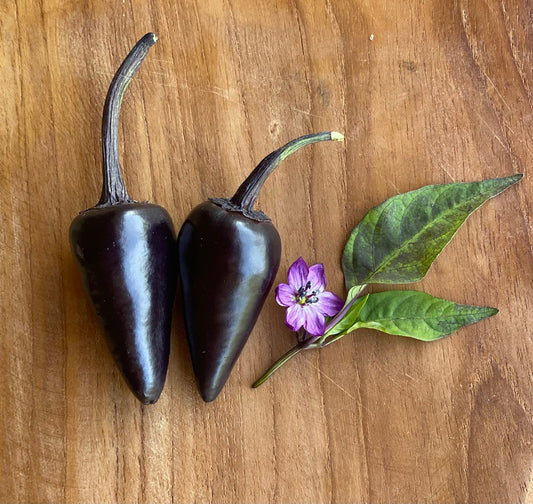 Purple Jalapenos - Medium Hot