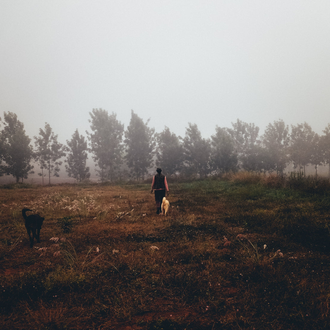 The Farm as a Living System