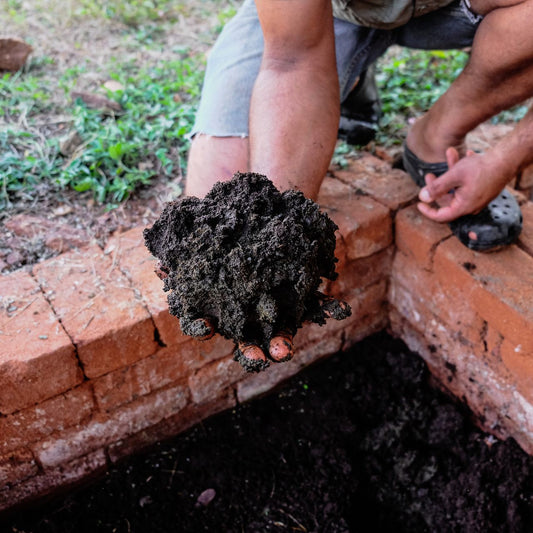 Soil Nutrition Basics