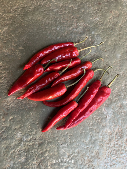 Andhra Mirchi - Mild Hot