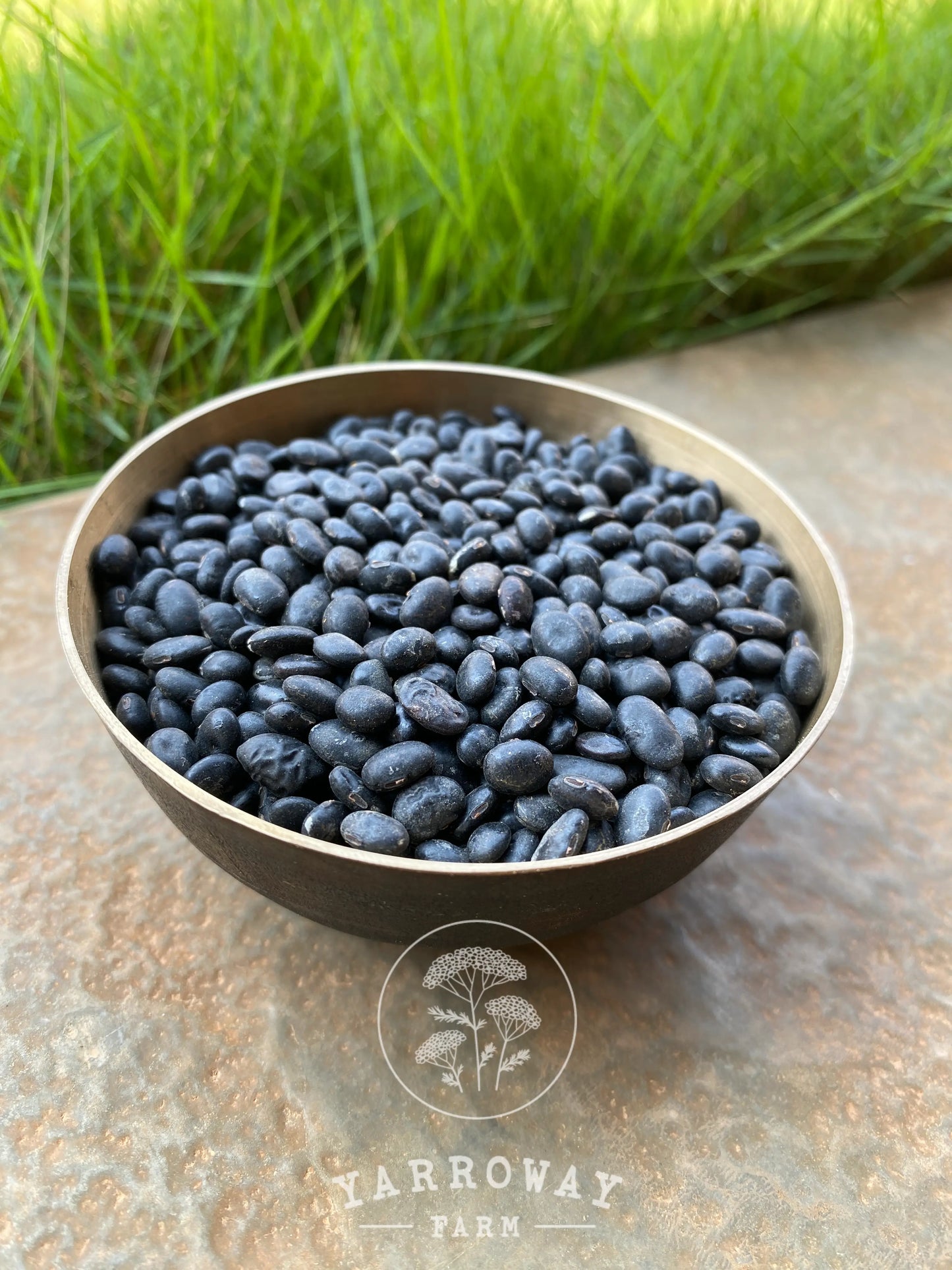 Bhatt - Black Soy Bush Bean