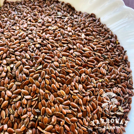 Brown Flax Seeds Organic