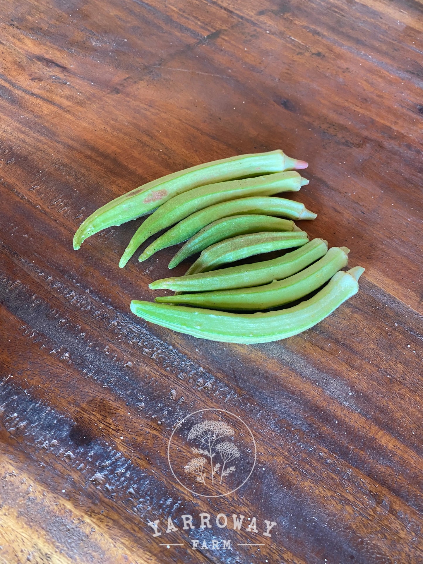 Burmese Okra