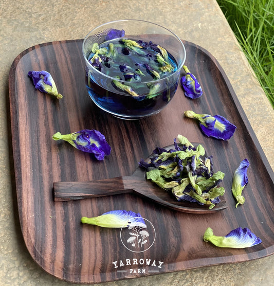 Blue Butterfly Pea Tea Organic