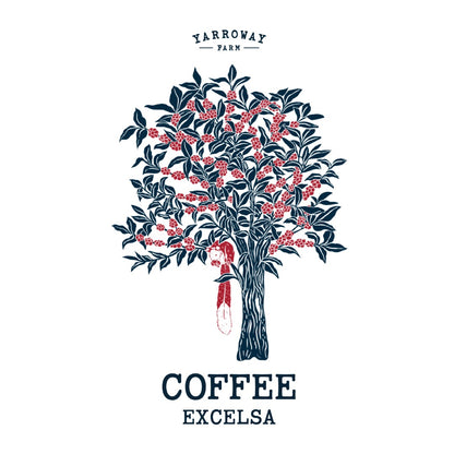 Coffee Excelsa