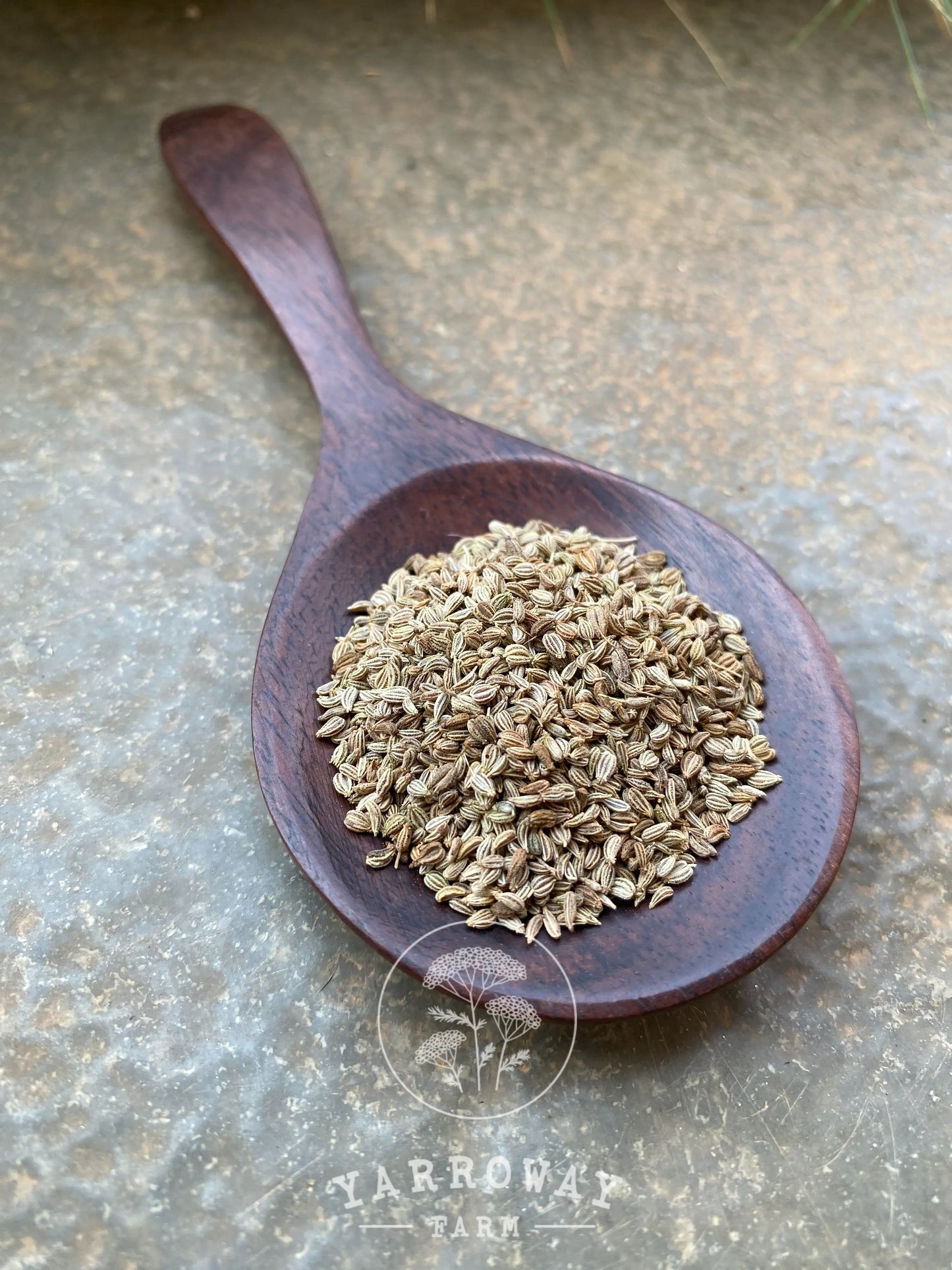 Carom Seeds Ajwain