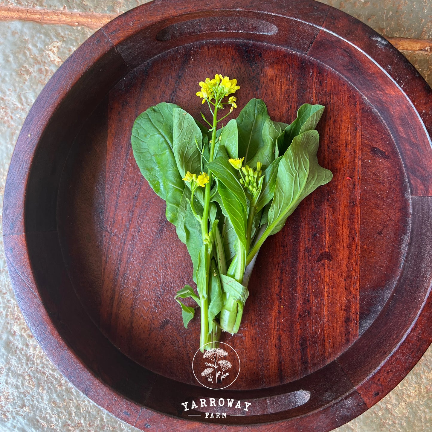 Choy Sum