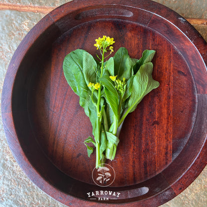 Choy Sum