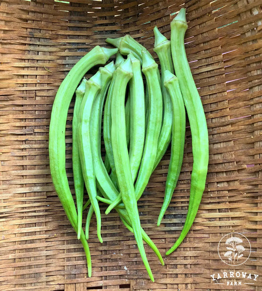 Elephant Tusk Okra