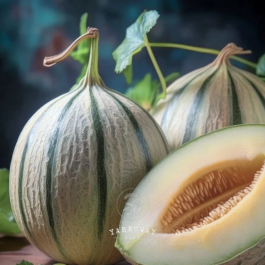 Hara Madhu Melon