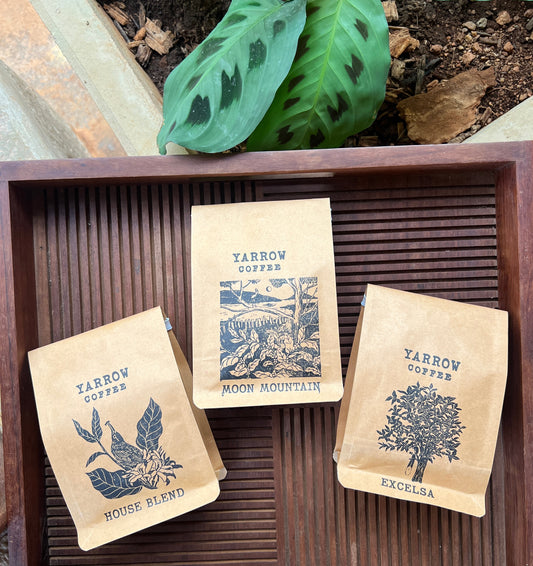 Coffee Sample Pack