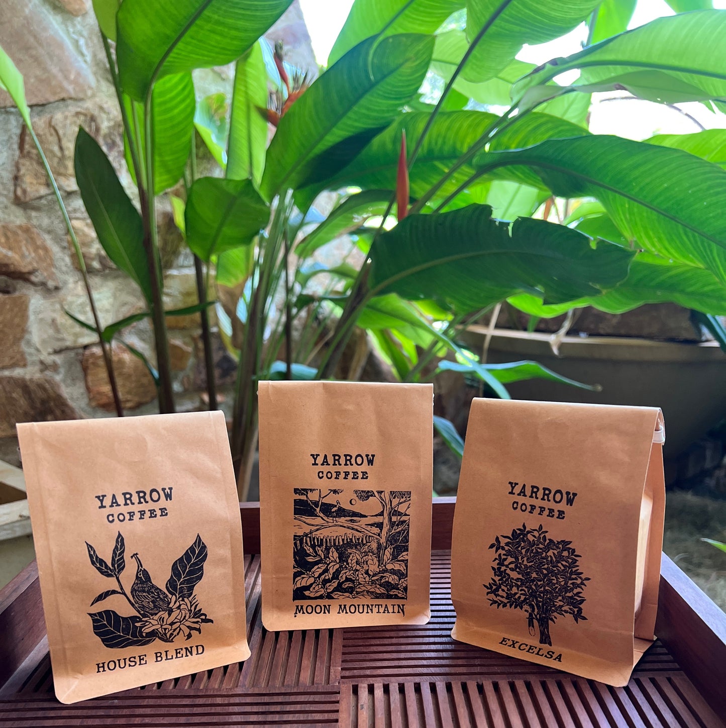 Coffee Sample Pack