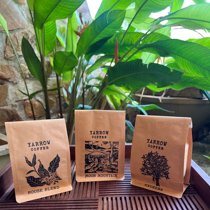 Coffee Sample Pack