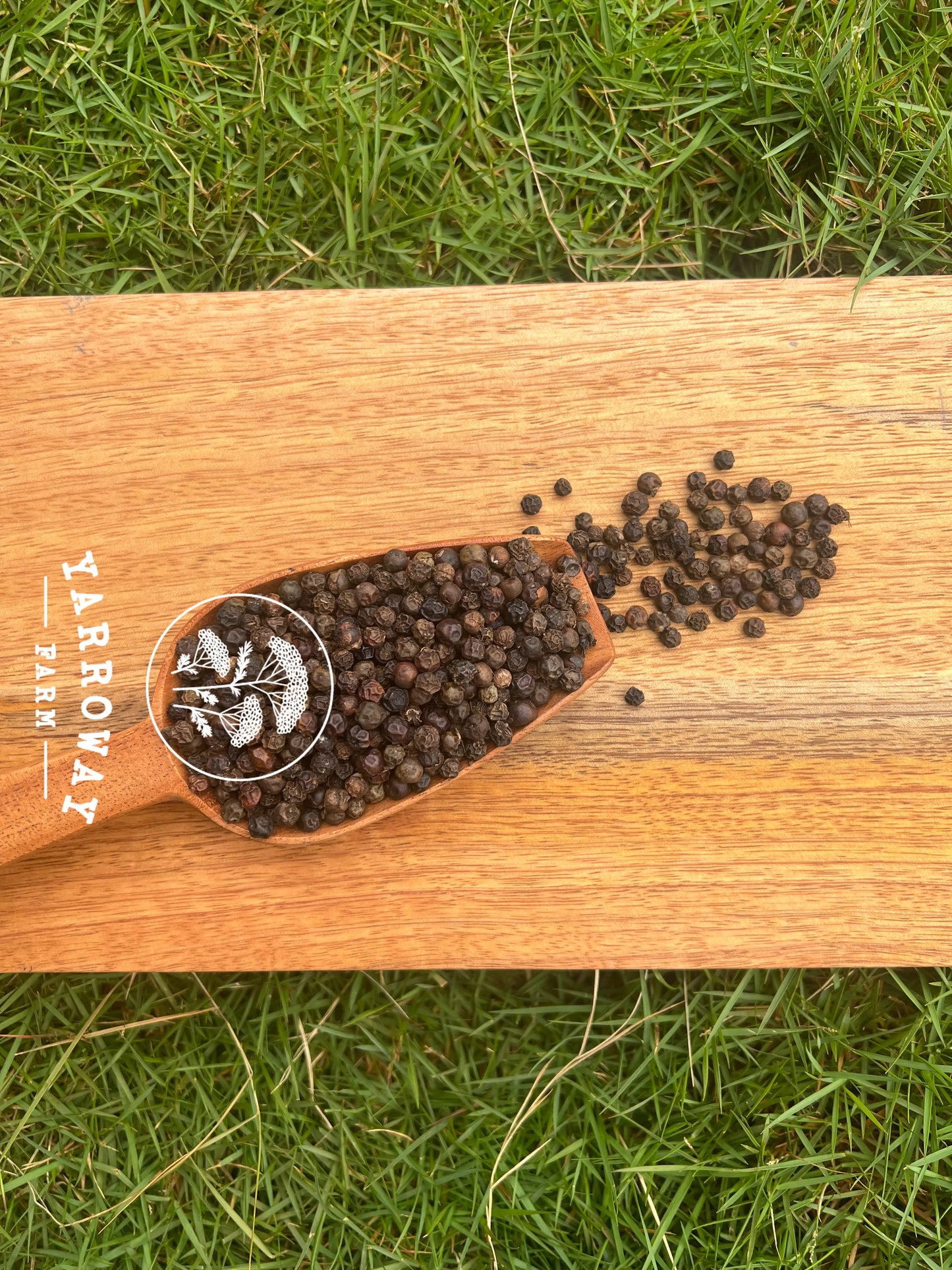 Black Pepper Whole