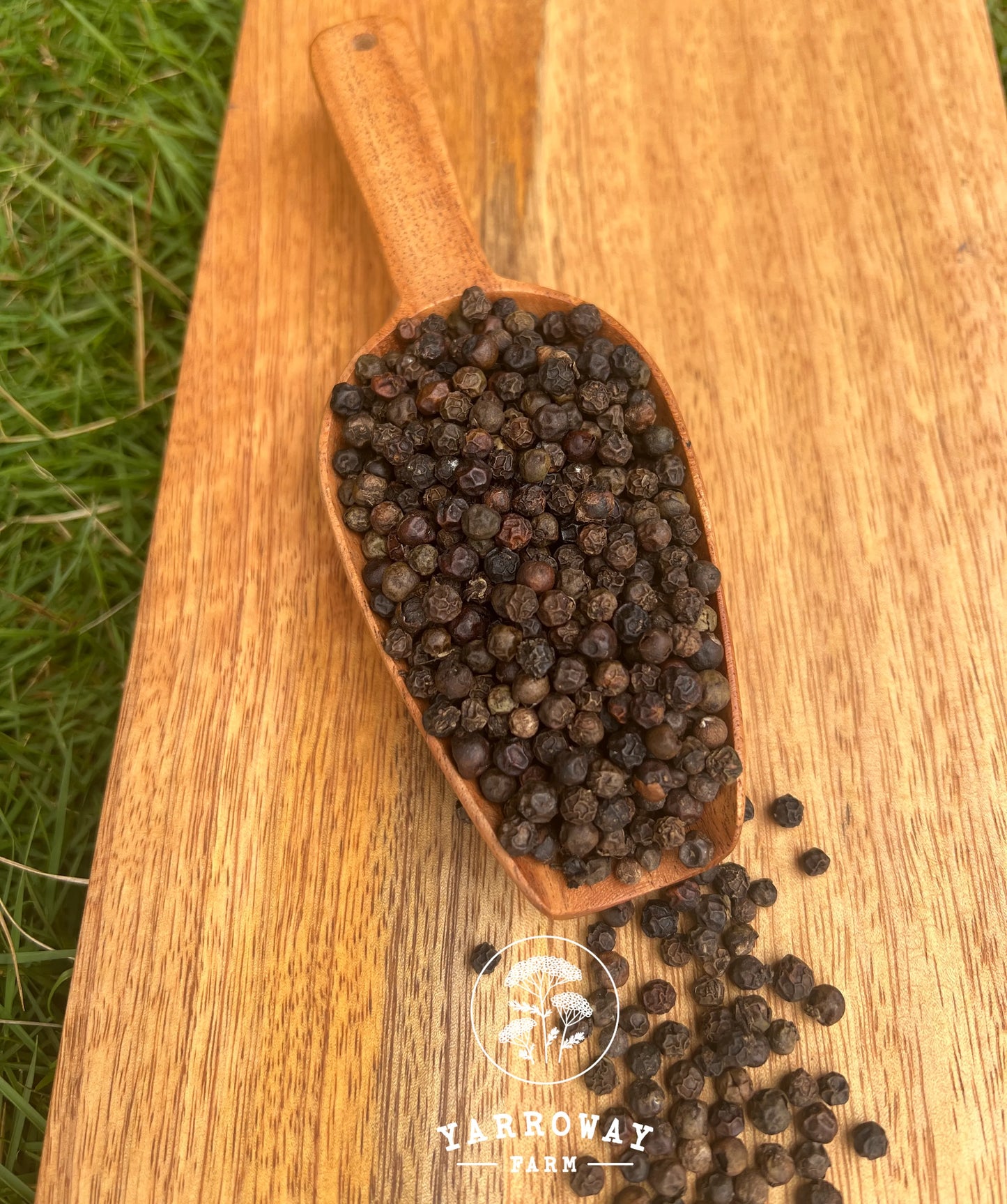 Black Pepper Whole