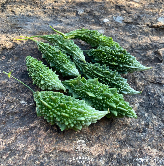 Karela Bitter Gourd