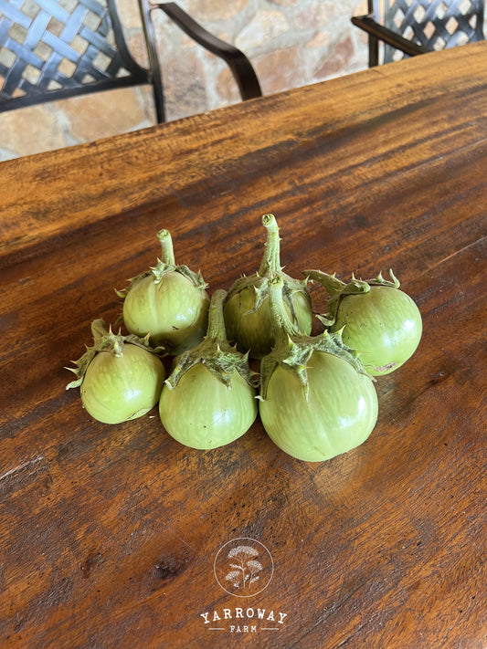 Mattu Gulla Brinjal