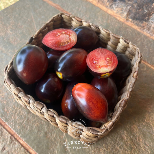 Midnight Roma Tomato