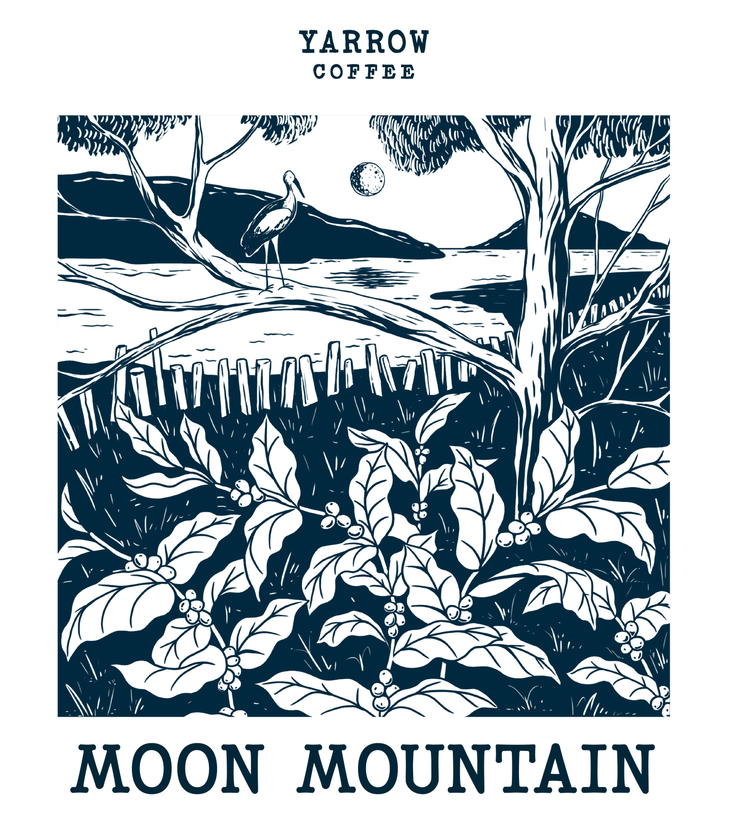 Moon Mountain