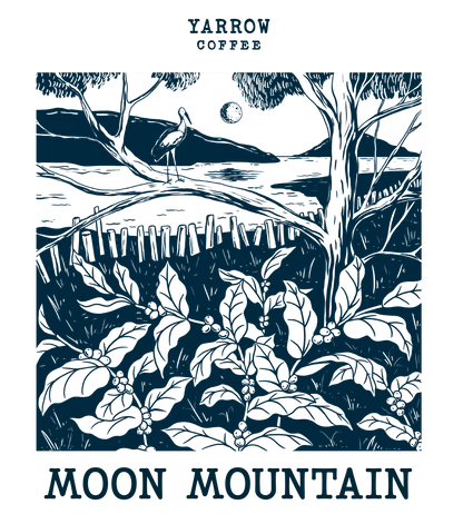 Moon Mountain