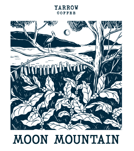 Moon Mountain