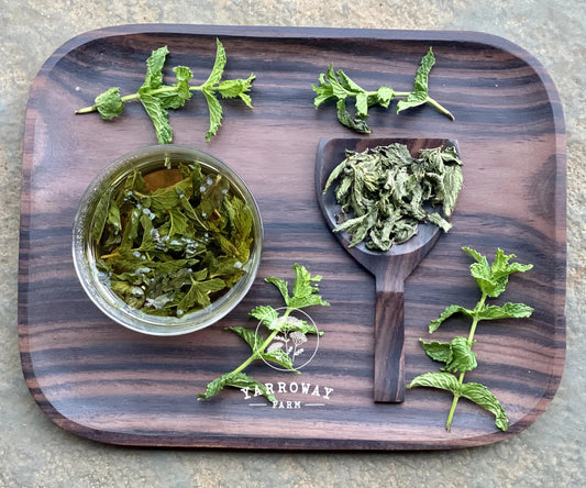 Peppermint Tea Organic