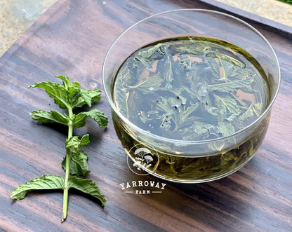 Peppermint Tea Organic