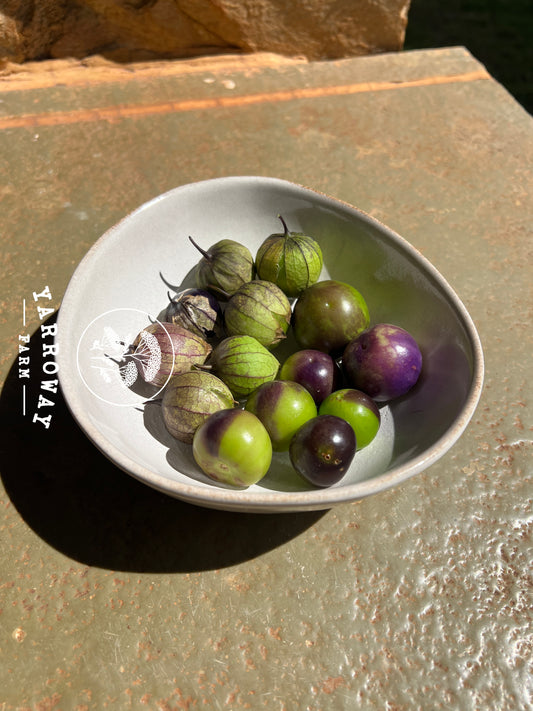 Purple Tomatillo
