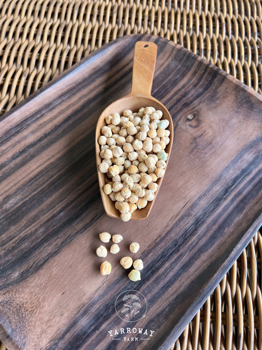 Raramuri Garbanzo Chickpea