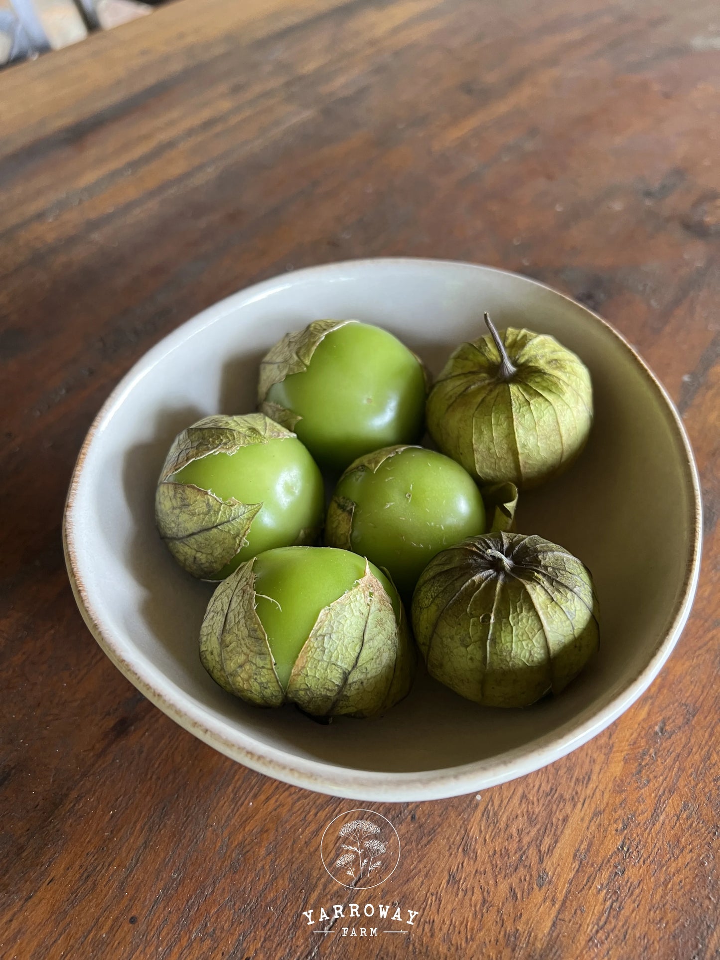Rio Grande Verde Tomatillo