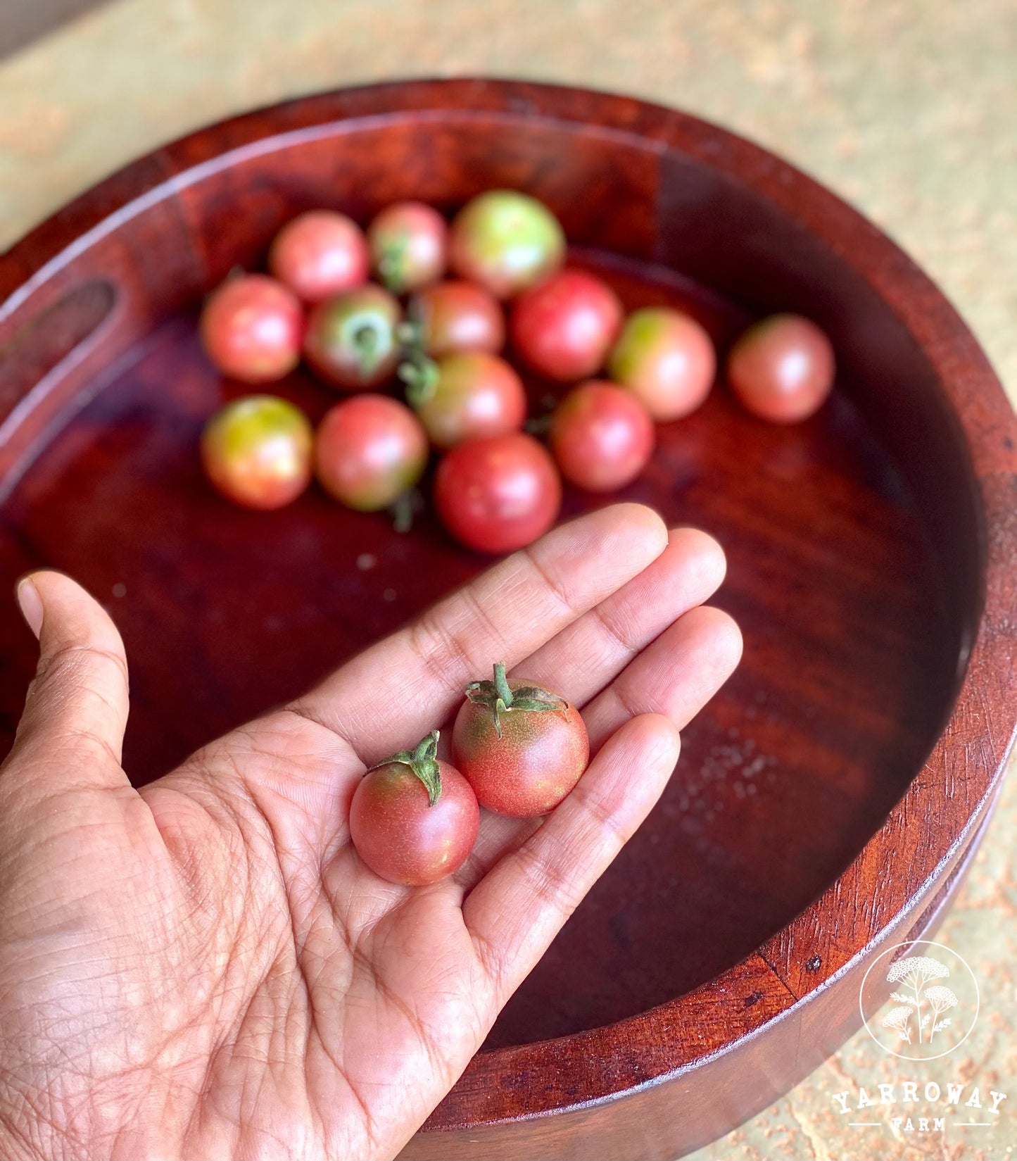Rosella Cherry Tomato