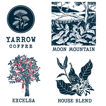 Coffee Sample Pack